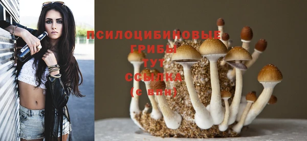 твердый Бронницы