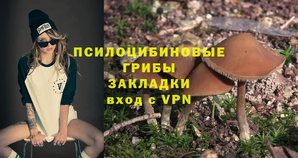 твердый Бронницы