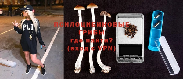 твердый Бронницы