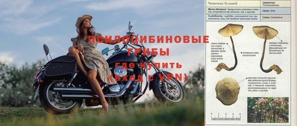 первитин Бородино