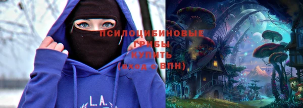 первитин Бородино