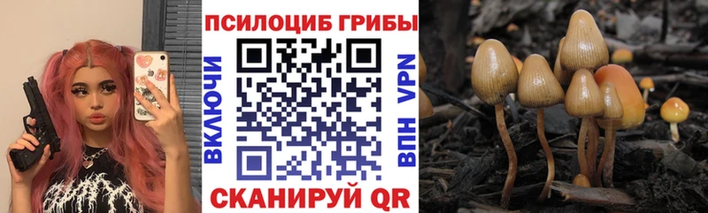 Псилоцибиновые грибы прущие грибы  Купить закладки  Маркс 